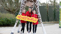 Don’t miss your chance to enjoy run through Fota Wildlife Park