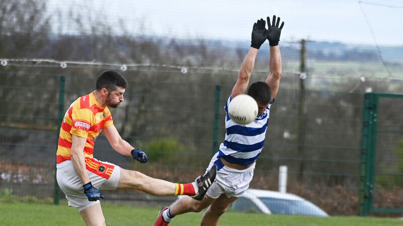 Three goals enough to sink Castlehaven as Newcestown win comfortably in Division 1 FL Three goals enough to sink Castlehaven as Newcestown win comfortably in Division 1 FL