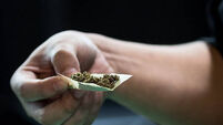 THAILAND-SOCIETY-CANNABIS-OFFBEAT