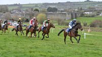 Liscarroll Point-to-Point races at Knockardbane are a huge success