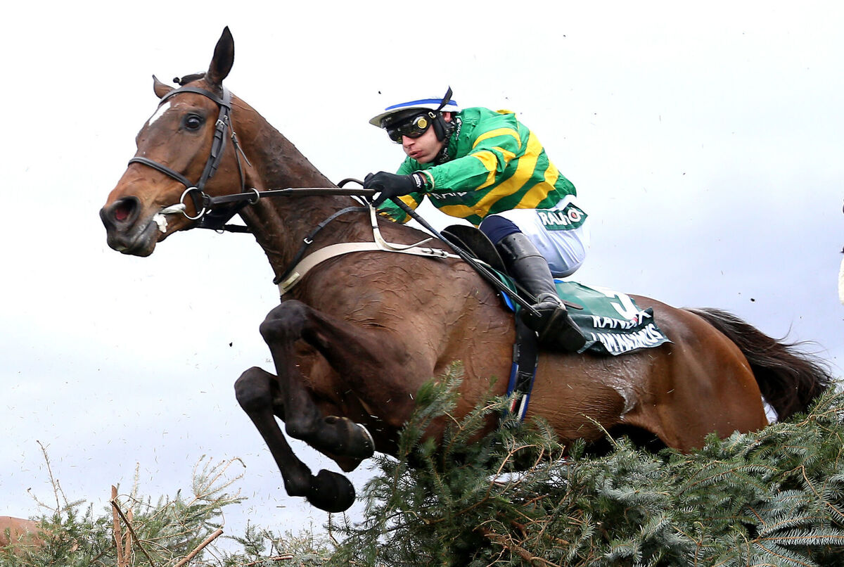 Last year's winner I Am Maximus who heads the confirmations for Saturday's Randox Grand National at Aintree. Last year's winner I Am Maximus who heads the confirmations for Saturday's Randox Grand National at Aintree.