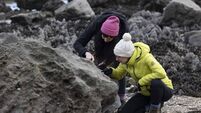 Cork scientists encourage members of the public to go fossil hunting