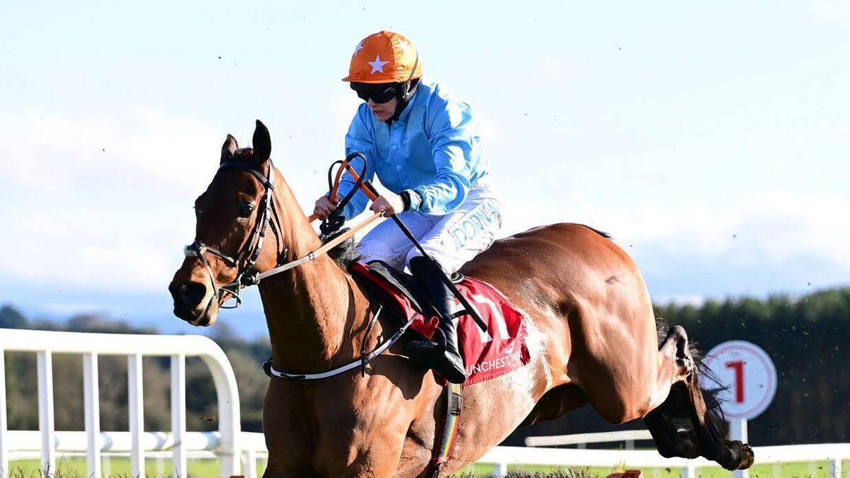John Dolan: My €9.57 tip for Grand National - and strange theory behind it!