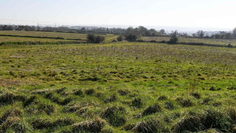 Cork Views: 'Places like Murphy’s Rock are becoming rarer...the road plans should be rejected' Cork Views: 'Places like Murphy’s Rock are becoming rarer...the road plans should be rejected'