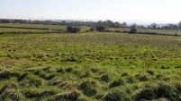 Cork Views: 'Places like Murphy’s Rock are becoming rarer...the road plans should be rejected'
