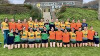  Cork Credit Union Cork ladies football leagues up and running