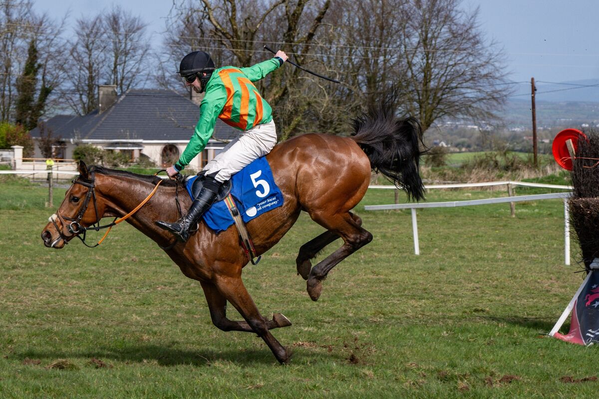 Tom Keating’s Ballycotton Boy, ridden by William J Kennedy clears the last fence by a clear yard to win the second race at the Duhallow Point to Point meeting in Dromahane. Picture Chani Anderson
