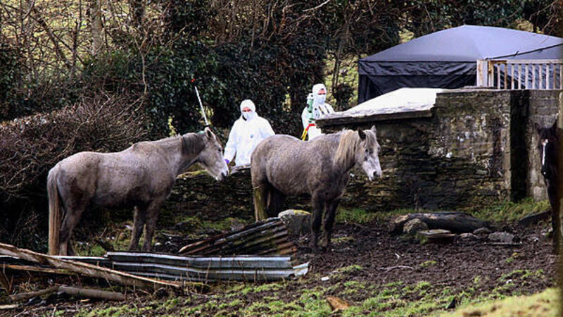 Ireland accused of ‘wasting seven years’ in Kieran Doherty inquest