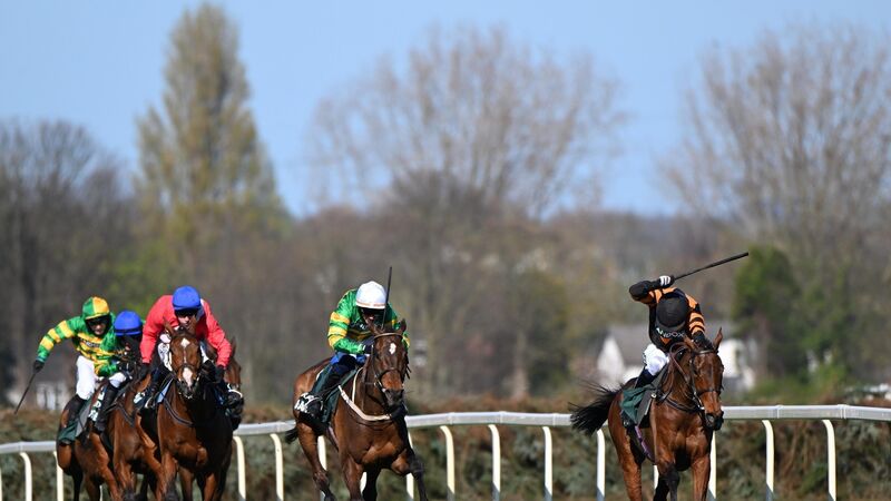 Cork owner Charlie McCarthy going for Scottish Grand National glory with Chosen Witness