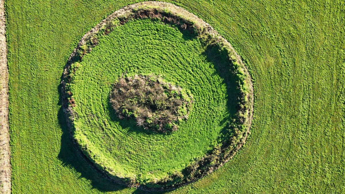 Cork author of book on Fairy Forts: 'Some happenings could not be explained away'