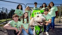 'He’s done wonders for some of the kids in the school': Cork Educate Together dog Guy ‘graduates’