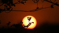 Cork weather: Sun to set on glorious conditions, according to latest Met Éireann forecast 