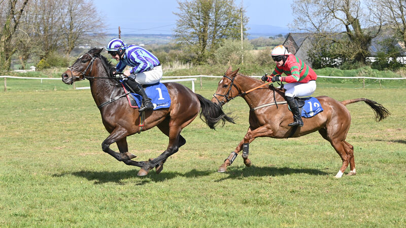 Big wins for Michael Kenneally and Alan O'Sullivan at Killeady Harriers Point to Point Big wins for Michael Kenneally and Alan O'Sullivan at Killeady Harriers Point to Point