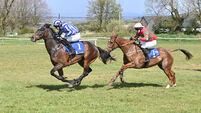 Big wins for Michael Kenneally and Alan O'Sullivan at Killeady Harriers Point to Point