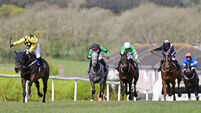 Success for Jody Townend on Cork-owned Soir De Garde
