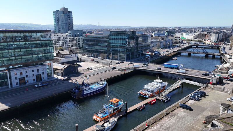Cork firms confident about boosting their workforces in the year ahead, Chamber survey shows 