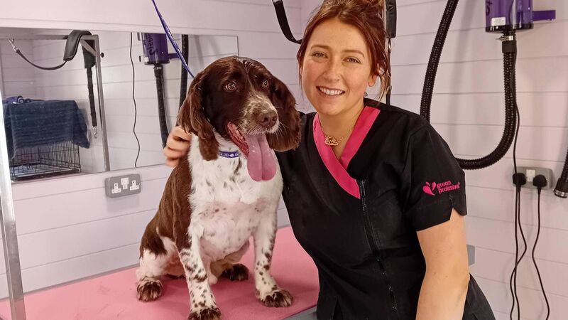 Cork dog groomer: 'I get to spend my work day with the most amazing of creatures'