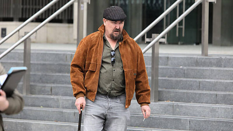 Man cautioned for Leinster House trespass after Palestine flag hoisting Man cautioned for Leinster House trespass after Palestine flag hoisting