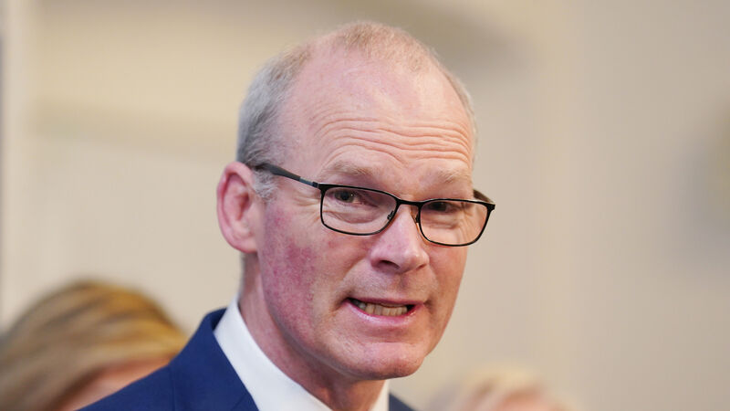 Former tánaiste and Cork TD Simon Coveney lands consultant job with EY Ireland