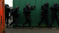 Irish Army Ranger Wing 30th anniversary