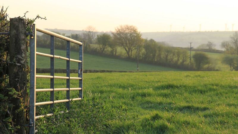 Prayers in Cork community after boy, 5, injured in incident on farm