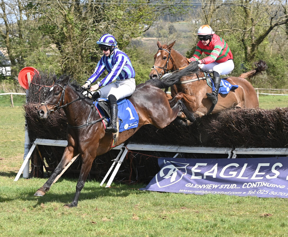 Alan O'Sullivan on Ballylickey Bay wins from James Murphy on One Day In May over the last in the 5 Y-O mares maiden race at Dromahane. Picture: Eddie O'Hare