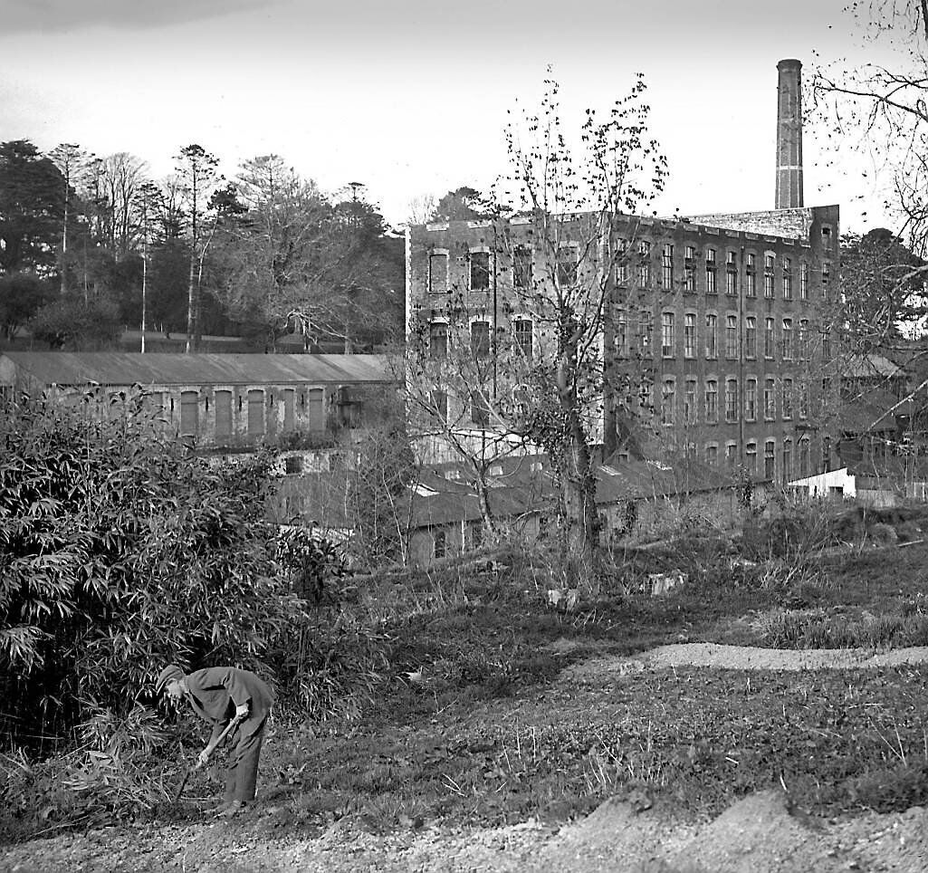 An exterior shot of Morrogh’s Mills in Douglas in August, 1929. Some mills remained open into the 1970s An exterior shot of Morrogh’s Mills in Douglas in August, 1929. Some mills remained open into the 1970s