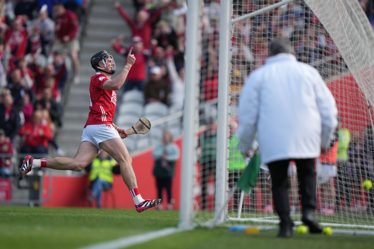 Cork's Darragh Fitzgibbon celebrates his goal against Tipperary in the Allianz HL Division 1A final. Picture: Inpho/James Lawlor