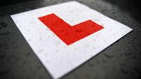 Learner Drivers