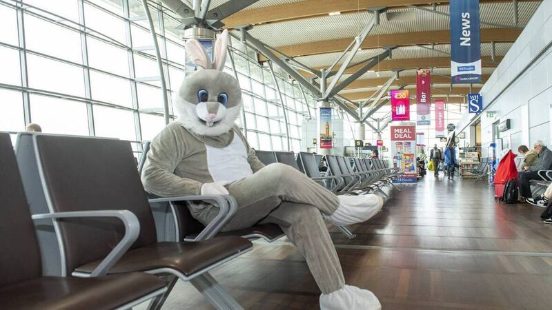 Cork Airport visitor numbers set to increase 14% this bank holiday weekend Cork Airport visitor numbers set to increase 14% this bank holiday weekend
