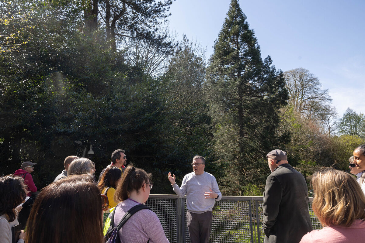 Dr Eoin Lettice, UCC speaking at a walking tour exploring UCC Tree Collection on the UCC Campus for the Cork Life Long Learning Festival. Photo: Darragh Kane