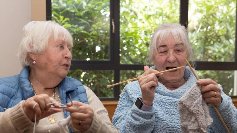 Cork Views: Festival shows Cork is a great place to learn