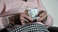 Elderly stock