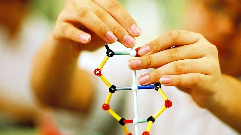 New Leaving Cert science course to bring ‘huge inequity’