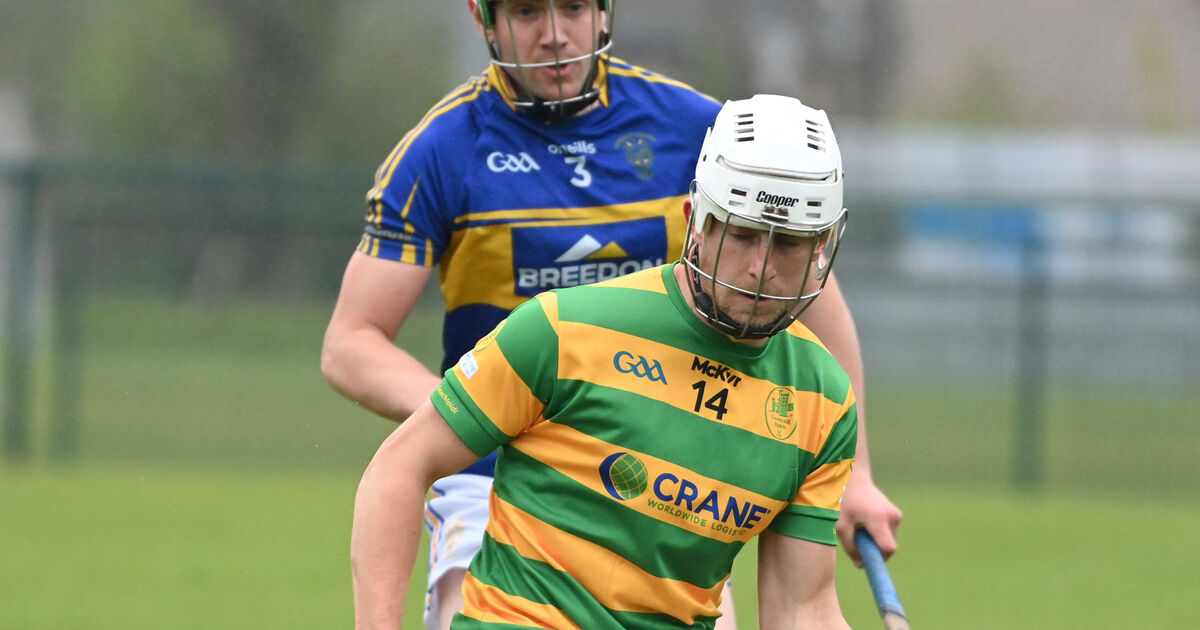 Division 1 HL: Robbie Cotter stars as Blackrock run riot against ...