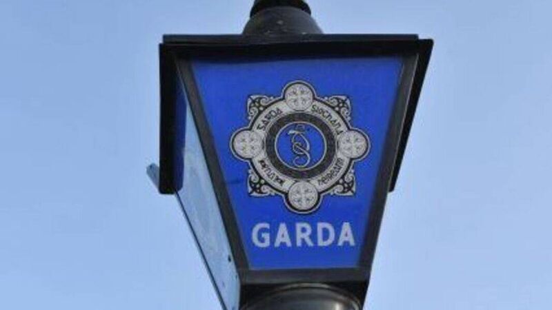 Gardaí launch investigation following discovery of human skull in West Cork 