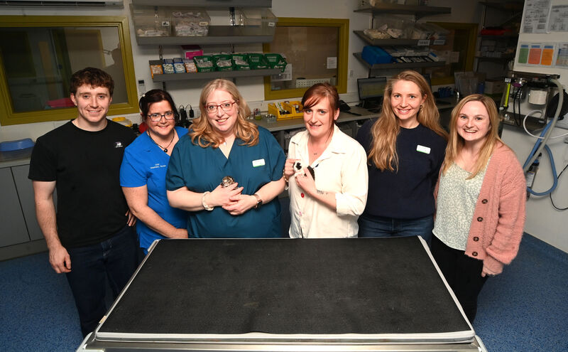 Staff Paddy Dunlea, Linzi Flanagan, Corinna O’Regan, Rhona Murphy, Annie O’Callaghan, and Lindsay O’Driscoll. Picture: Larry Cummins