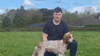 Griffin United's Sean T back on song at Michael O'Mahony Draghunt