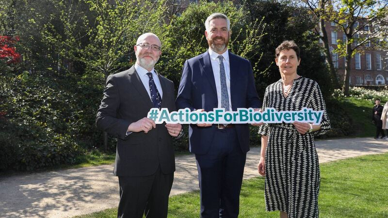 Cork minister launches new guidance to aid biodiversity action Cork minister launches new guidance to aid biodiversity action
