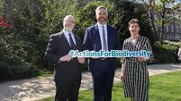 Cork minister launches new guidance to aid biodiversity action