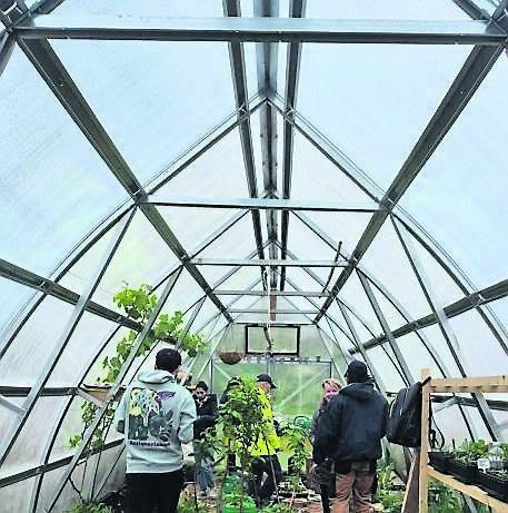 Togher Community Garden.