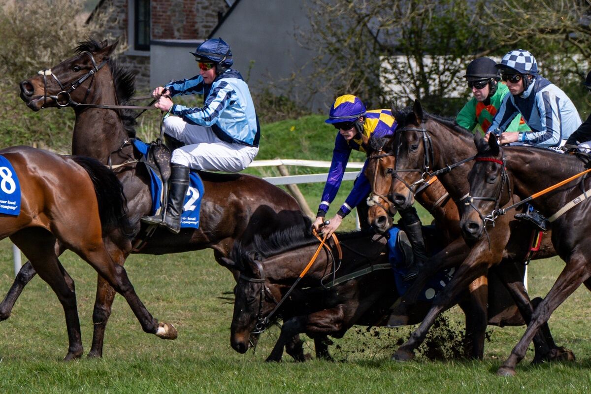 Harry Gough is knocked of the saddle during the second race at the Duhallow Point to Point meeting in Dromahane. Picture Chani Anderson Harry Gough is knocked of the saddle during the second race at the Duhallow Point to Point meeting in Dromahane. Picture Chani Anderson