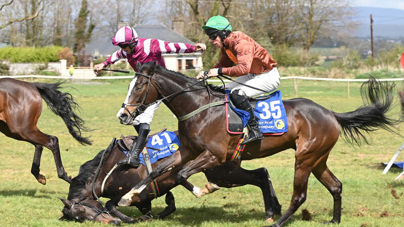 Punchestown Five Day Festival one of the highlights of the National Hunt season Punchestown Five Day Festival one of the highlights of the National Hunt season