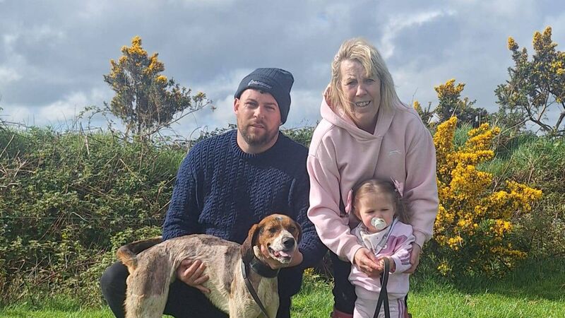Cork Draghunting: Another big win for Griffin United's Sean T at Tower Cork Draghunting: Another big win for Griffin United's Sean T at Tower