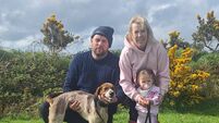 Cork Draghunting: Another big win for Griffin United's Sean T at Tower