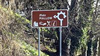 'Rocky road': N72 Mallow-Killarney road ‘in an appalling state’