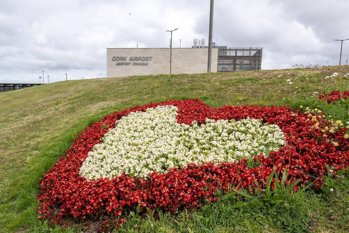 Flower planting at Cork Airport Pic: Brian Lougheed Flower planting at Cork Airport Pic: Brian Lougheed