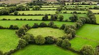 Throwback Thursday: May Day traditions and strange happenings at a fairy fort 