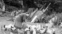 Making butter and washing in the tub: Cork woman’s memories feature in book