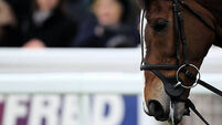 Horse Racing - 2012 Cheltenham Festival - Day Four - Cheltenham Racecourse